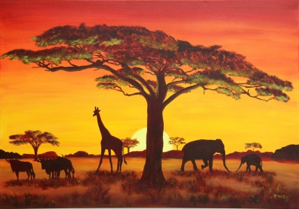 Picture no: 9993915 Sonnenuntergang in Afrika Created by: Petra Koob