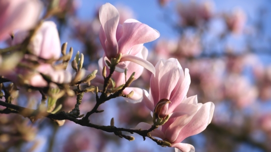 Picture no: 10019345 Nice day Created by: youhaveadream