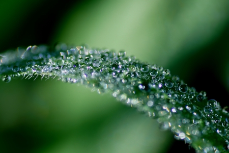 Picture no: 10446536 Diamonds Created by: youhaveadream