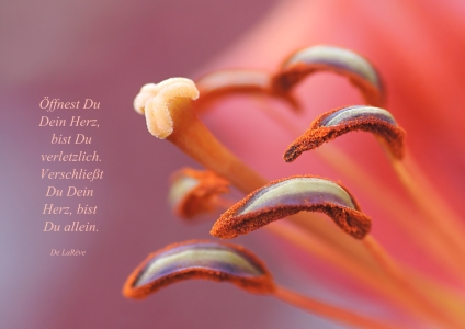 Picture no: 10548709 Open your heart Created by: youhaveadream