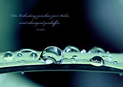 Picture no: 10558165 Seelenverwandte Created by: youhaveadream