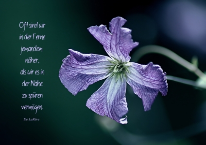 Picture no: 10559277 Nähe Created by: youhaveadream