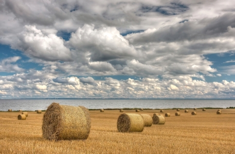 Picture no: 10580109 Rollen am Wasser Created by: Kibo