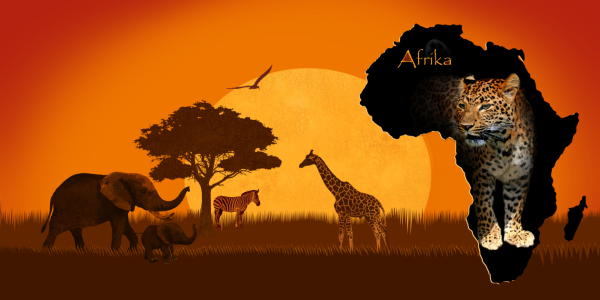 Picture no: 10630780 Wildlife mit Kontinent Afrika und Leopard Created by: Mausopardia