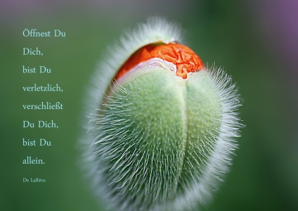 Picture no: 10655400 Veränderung Created by: youhaveadream