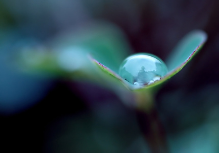 Picture no: 10670038 Rain Man  Created by: youhaveadream