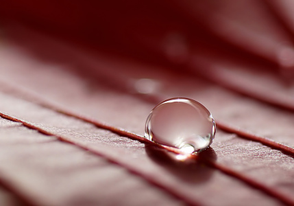 Picture no: 10697379 Herbstblatt Created by: youhaveadream