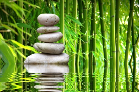 Picture no: 10712871 Balance Created by: gabii40