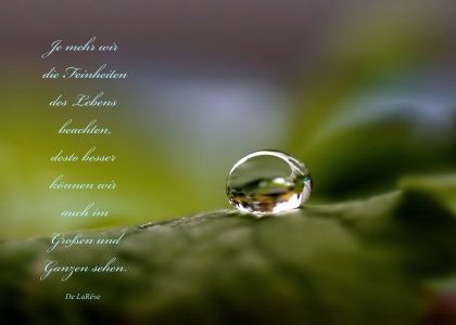 Picture no: 10730597 Feinheiten Created by: youhaveadream