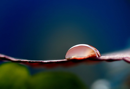 Picture no: 10737903 Herbsttropfen Created by: youhaveadream