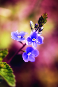 Picture no: 10817287 Color My Soul Created by: r3novatio