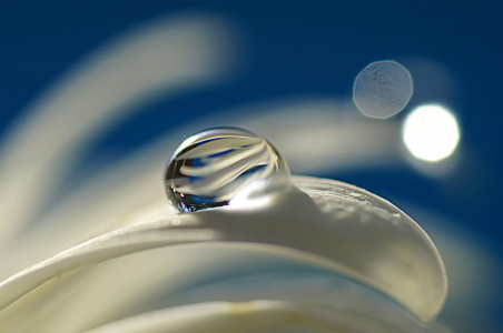 Picture no: 10829727 Sunny dreams Created by: youhaveadream