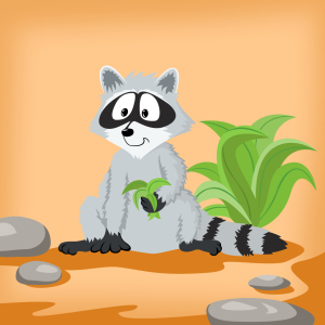 Picture no: 11057231 Waldtiere Serie Waschbär Created by: Michaela Heimlich