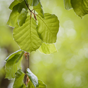 Picture no: 11071311 hanging around Created by: aliasemma