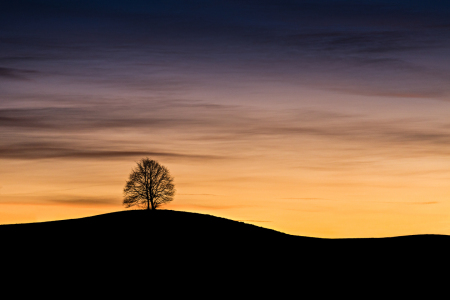 Picture no: 11426725 Einsam Created by: Blendenfabrik