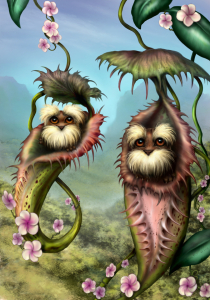 Picture no: 11507775 Kannenbärchen Created by: OceanPlanet