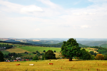 Picture no: 11539966 Unterwegs Created by: Bianca Schumann