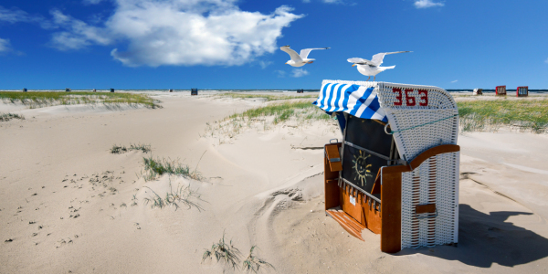 Picture no: 11554078 Möwen am Nordseestrand Created by: Reiner Würz