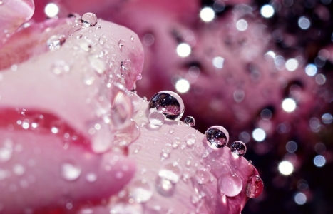 Picture no: 11556062 Sparkling Created by: youhaveadream