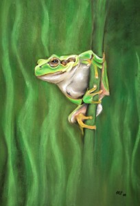 Picture no: 11560150 Laubfrosch Created by: MoNoir