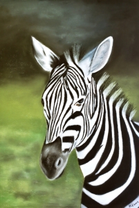 Picture no: 11561506 Zebra Created by: MoNoir