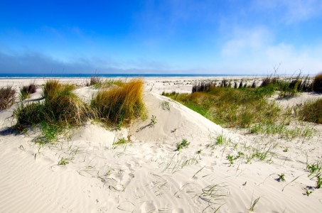 Picture no: 11568204 Juist Dünenlandschaft Created by: Werner Reins