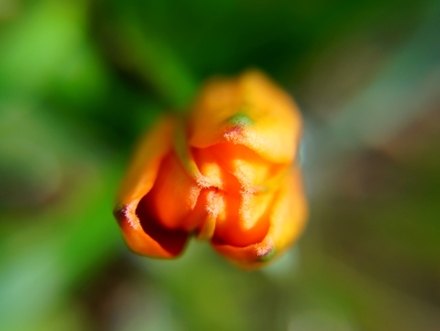 Picture no: 11582040 Erwartungsvoll Created by: MoNoir