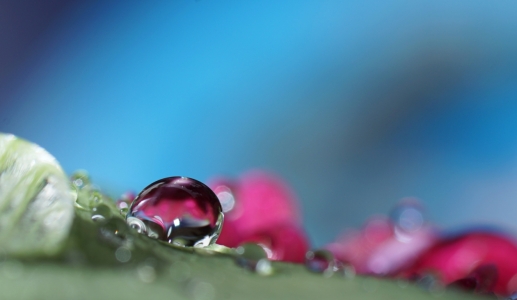 Picture no: 11582286 Wiesen-Akzente Created by: youhaveadream