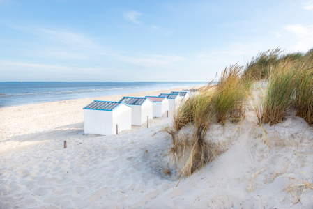 Picture no: 11592542 Schönes De Koog Created by: hannes cmarits