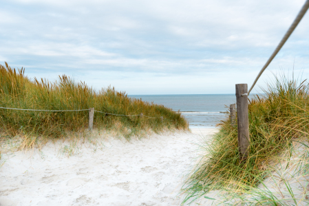 Picture no: 11592570 Auf in den Sommer Created by: hannes cmarits