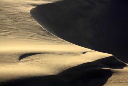 Picture no: 11702666 Dünendetail Created by: Nicola Furkert