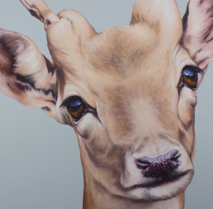 Picture no: 11739654 Hirsch Portrait Created by: Renate Berghaus