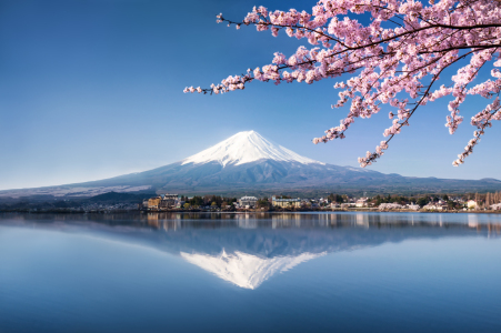 Picture no: 11756576 Fuji in Japan zur Kirschblüte  Created by: eyetronic
