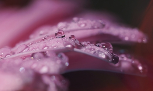 Picture no: 11819587 Petites perles Created by: youhaveadream