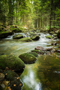 Picture no: 11871711 Bachlauf im Bayerischer Wald  Created by: luxpediation