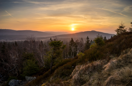 Picture no: 11895823 Ausblick im Harz Created by: Steffen Henze
