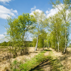 Picture no: 11907990 M A I G R Ü N        -  2  - Created by: Ursula Reins