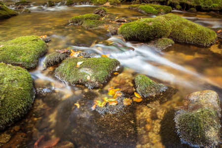 Picture no: 11915249 Bach Einblick Created by: luxpediation