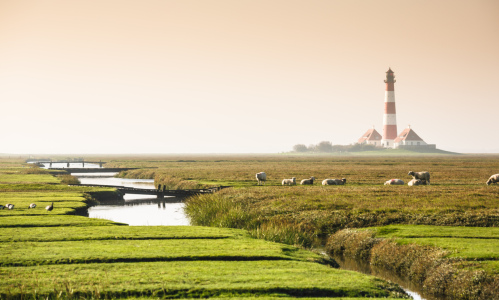 Picture no: 11945815 Beim Leuchtturm Created by: Werner Reins