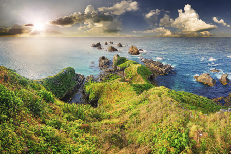 Picture no: 11979285 Nugget Point Neuseeland Created by: Michael  Rucker