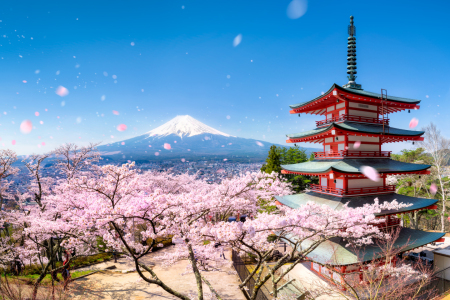 Picture no: 12012008 Berg Fuji und Chureito Pagode in Japan Created by: eyetronic