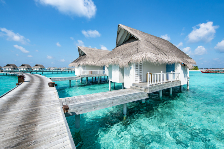 Picture no: 12042881 Overwater Bungalow auf den Malediven Created by: eyetronic