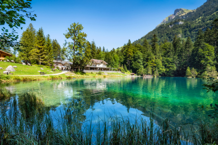 Picture no: 12168752 Blausee in der Schweiz Created by: eyetronic