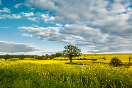 Picture no: 12209863 Holsteinische Schweiz Created by: Ursula Reins