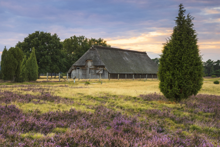 Picture no: 12469373 Schafstall in der Morgendämmerung Created by: Daniela Beyer