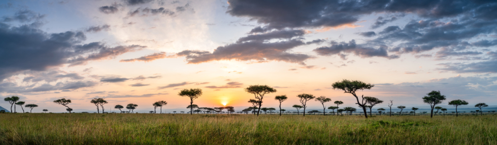 Picture no: 12605325 Sonnenaufgang in der Maasai Mara Created by: eyetronic