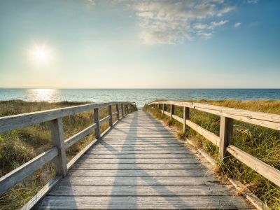 Picture no: 12613857 Strandübergang durch die Dünen Created by: eyetronic