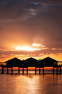 Picture no: 12656043 Seebrücke im Sonnenaufgang - Insel Usedom Created by: Martin Martin Wasilewski