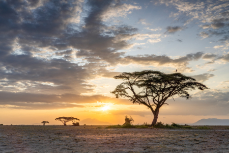 Picture no: 12734746 Sonnenuntergang im Amboseli Nationalpark Created by: eyetronic