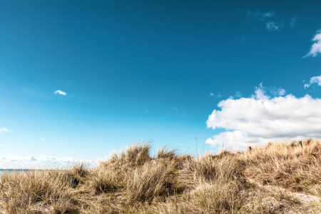 Picture no: 12735201 Ostsee Stranddünen    Created by: Ursula Reins